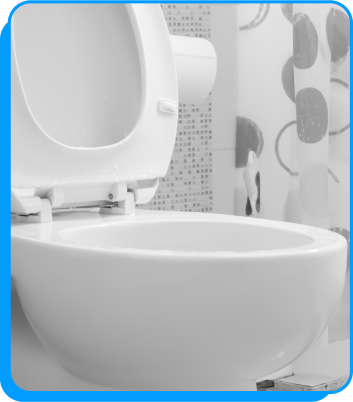Clogged Toilet Repair
